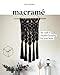 Macrame: The Craft of Creative Knotting for Your Home by Fanny Zedenius, Kim Lighbody
