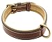 Kingston Leather Padded Dog Collar