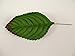 perfect2desire Fake Leaves Green Brown Rose Leaves Mulberry Paper Artificial Leaf Size#1