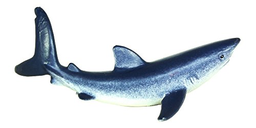 Safari Ltd Sharks TOOB