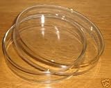 5 Glass Petri Dish 60mm, Tissue Culture Plate, Autoclavable Borosilicate Glass, Pack of 5