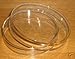 5 Glass Petri Dish 60mm, Tissue Culture Plate, Autoclavable Borosilicate Glass, Pack of 5