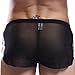 sandbank Mens Sexy Transparent Underwear Sheer Bikini Boxer Shorts Brief Panties (US M, Black)