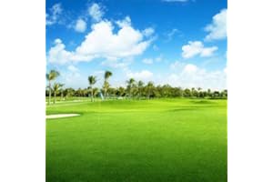 Outsidepride Oasis Bermuda Grass Seed - 10 lbs Warm Season, High Traffic, Heat Resistant, Drought-Tolerant, Low-Maintenance, Fast Growing Turf Grass for Lawn, Ideal for Sunny Areas, Thick Coverage