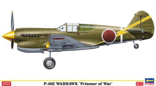 P-40E Warhawk [Prisoner of War] (Plastic model)