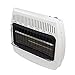 Dyna-Glo BF30PMDG 30,000 BTU Liquid Propane Blue Flame Vent Free Wall Heater