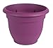 Bloem AP1029 Ariana Self Watering Planter, 10