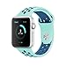Apple Watch Band, AWStech 42mm Soft Silicone Sport Style Replacement Watch band Strap for Apple iWatch Series 1 Series 2 - Mint Green/Royal blue