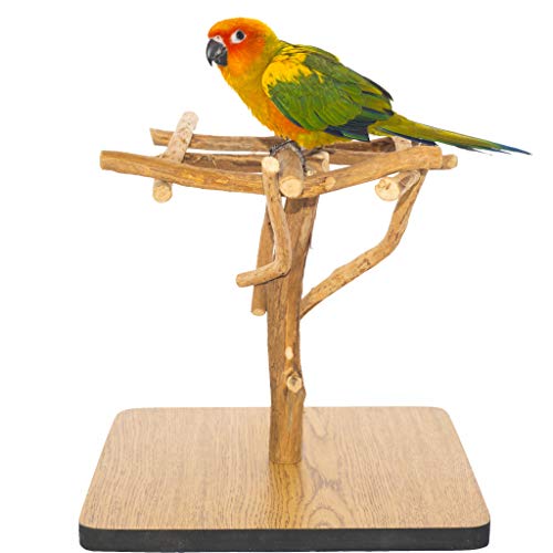 Birds LOVE Deluxe Dragonwood Tabletop Bird Stand Perch Gym Training Playstand Cockatiels Lovebirds Conures Parakeets 11.5″ x 11.5″ x 11.75″