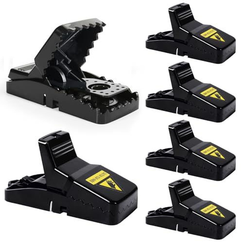 Mouse Traps Indoor