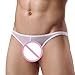 ManxiVoo Mens Sexy Perspective Underwear Shorts Underpants Pouch Soft Briefs Panties (L, White)