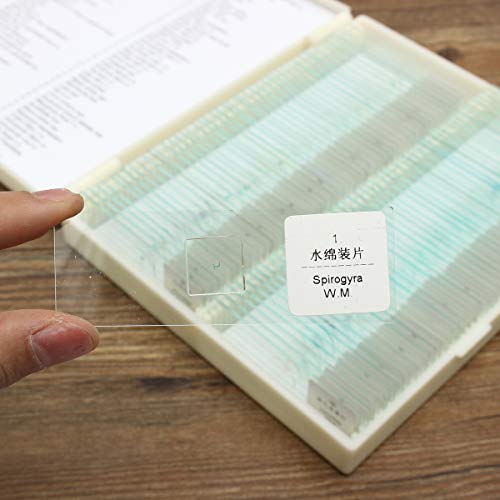 ZUINIUBI Microscope Slides-100pcs Glass Prepared Basic Plant Microscope Slides Sample Biology Pathology