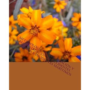 Metodología de Investigación y Reconstrucción de Accidentes, Siniestros e Incide (Spanish Edition)