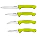 Cook N Home Paring Knife Set 4-Piece, High Carbon German Stainless Steel Kitchen Knives, Includes-Utility, Paring, Vegetable, Peeling Knife, Ergonomic Handle, Green