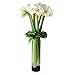 CYS EXCEL Glass Cylinder Vase, Floating Candle Holder, Flower vase, Decorative Centerpiece for Home, Business, Events or Weddings (Pack of 6) 4