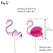 VERSAINSECT Flamingo Pineapple Cupcake Toppers Picks Party Supplies Pool Luau Hawaiian Party Decoration Favors 24 PCS
