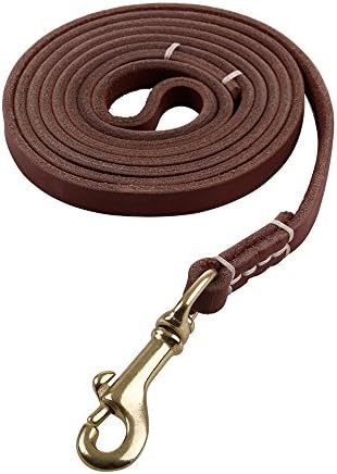 Reopet 4 Feet / 5 Feet / 6 Feet Genuine Leather Small & Medium Dog Leash, Real Leather - (3/8" X 6', Brown)