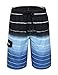 Nonwe Men's Beachwear Quick Dry Striped Board Shorts