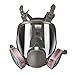 Holulo Full Face Facepiece Respirator Paint Spray Mask with 2 x Organic Vapor Cartridges