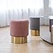 Art Leon Small Round Velvet Ottoman, Upholstered with Gold Plating Base Footstool Rest Extra Seat, Pack of 1 (Rose Pink)