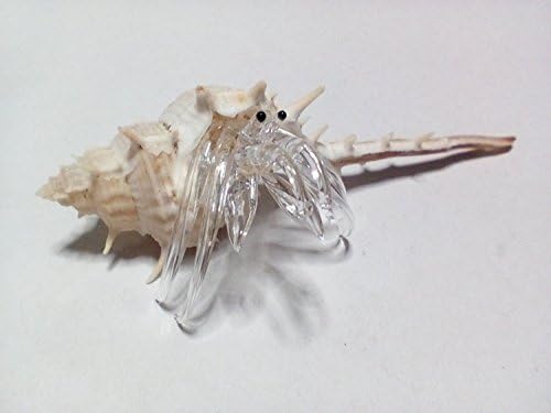 Pakdeevong shop Nice handmade glass blowing hermit crab