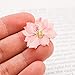 JETEHO 20Pcs Real Larkspur Dried Flowers Pressed Flowers DIY Preserved Flower Decorations