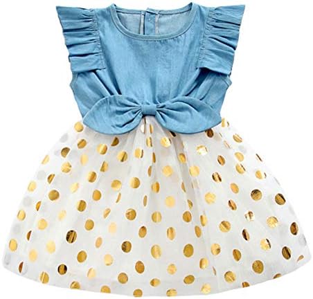 Girls Dress, Princess Dresses Sleeveless Denim Tops Floral Tutu Skirts