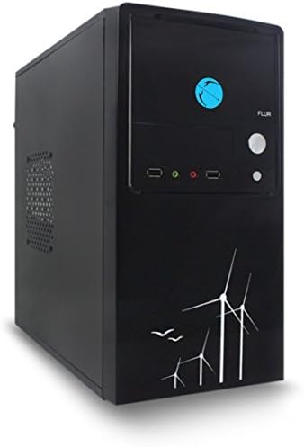 Gandiva Assembled Desktop Computer (Core I3 1st Generation / 8GB DDR3 RAM / 320GB SATA Hard Disk Drive/Without DVD Writer/with WiFi Facility) with Pre Installed Windows Trail Operating System