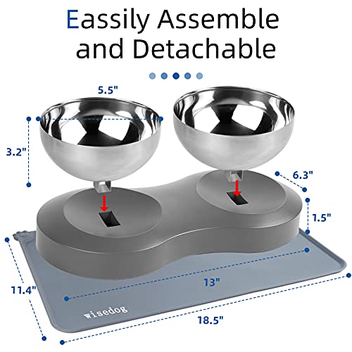 Tilted Elevated Dog Cat Feeding Bowls Raised Cat Bowl with 1 Silicone