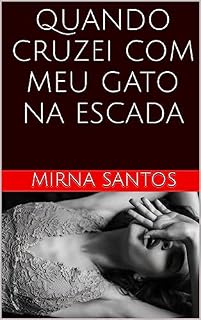 Livro QUANDO CRUZEI COM MEU GATO NA ESCADA (NOITES QUENTES E ÚMIDAS: VINTE CONTOS PARA LER NA CAMA)