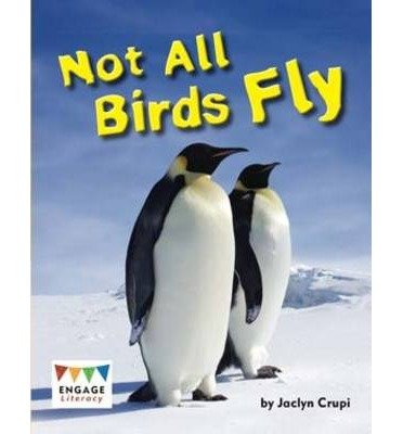 all bird return policy