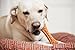 HARTZ Chew 'n Clean Dental Duo Bacon Flavored Dog Chew Toy - 1 Count(Pack of 1),Medium