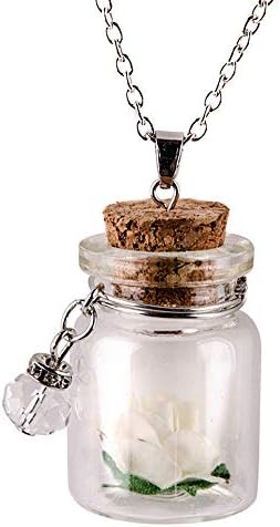 Glow in The Dark Flower Glass Tiny Wishing Bottle Vial Necklace Pendant Mitiy Chain Necklaces Romantic Gift