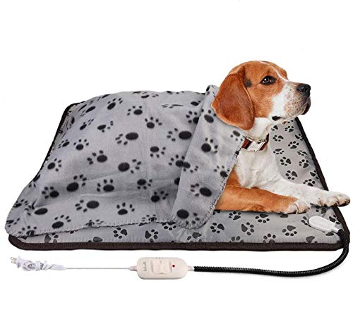 electric dog blanket