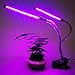 Grow Light for houseplants, Timing Automatic Work and Dimming, MUIZLUX Red and Blue Spectrum Dual Head Gooseneck Growing Strip lamp for Indoor Succulent Ochids Hydroponics