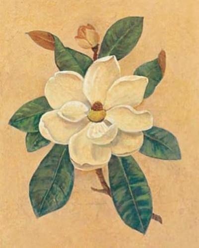 Lee Jamieson - Magnolia Grandiflora Art Print NO LONGER IN PRINT - LAST ONE!!
