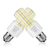 CA New Sunshine 2 Pack 40W Led Light Bulb