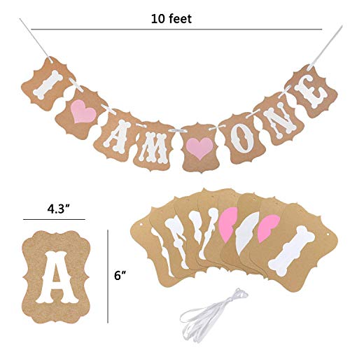 Baby 1st Birthday Decoration For Girl,First Birthday Decoration,Number 1 Crown,\