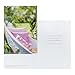 Secret Sister - Inspirational Boxed Cards - Assortment
