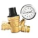 Esright Brass Water Pressure Regulator 3/4 Lead-Free with Gauge for RV Camper Adjustable Water Pressure Regulator,Build-in Oil (NH Threads)