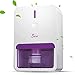 Jese Small Dehumidifier for Bedroom, Electric Quiet Mini Room Dehumidifier for 1800 Cubic Feet (220 sq. ft) Auto-Off Safe Dehumidifier for Basement,Bathroom, RV Trailer, Closet, Kitchen, Camper