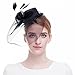 Valdler Elegant Women Lady Girls Feather Net and Veil Fascinator Hair Clip Hat Hair Accessories Clip (Black)