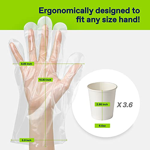 CLEANWRAP Disposable Gloves LDPE, BPA FREE (500 Piece) Food Service