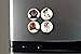Buttonsmith Puppies Magnet Set - Set of 4 1.25