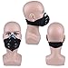 ULuckySee Dust Face Mask anti Woodworking Fume Pollen Chemical Paint PM2.5 Air Safety Filter for Outdoor Activities (Black)