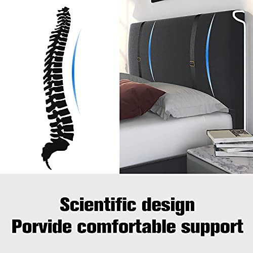 Amolife Queen Size Velvet Bed Frame, Upholstered Platform Bed with