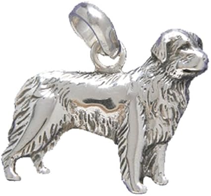 silver newfoundland dog