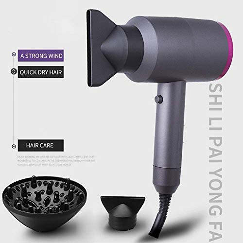 Thermostatic Hot Air Blower Negative Ion Domestic Hair Dryer Hammer Hair Styling Diffuser(1400W)
