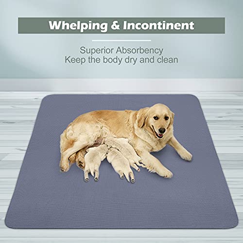 INVENHO Washable Pee Pads for Dogs, Highly Absorbent Dog Pee Pads