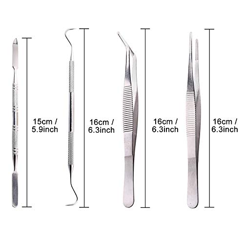 2 Whaline+Beginner+Scrapers+Tweezers+Double+EndedHook